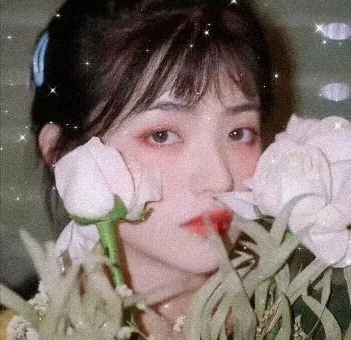花花世界青春梦